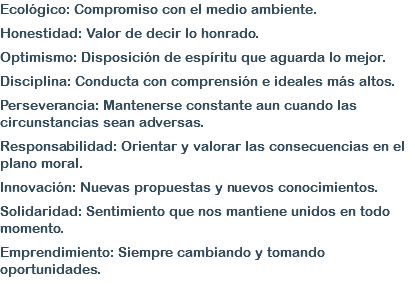 Ecológico: Compromiso con el medio ambiente. Honestidad: Valor de decir lo honrado. Optimismo: Disposición de espíritu que aguarda lo mejor. Disciplina: Conducta con comprensión e ideales más altos. Perseverancia: Mantenerse constante aun cuando las circunstancias sean adversas. Responsabilidad: Orientar y valorar las consecuencias en el plano moral. Innovación: Nuevas propuestas y nuevos conocimientos. Solidaridad: Sentimiento que nos mantiene unidos en todo momento. Emprendimiento: Siempre cambiando y tomando oportunidades.